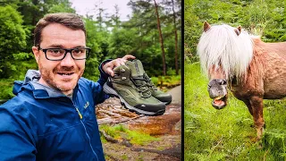 Wild Camping with Magical Biting Ponies!