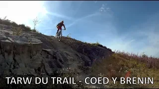 Coed Y Brenin MTB - Your guide to the Tarw Du trail