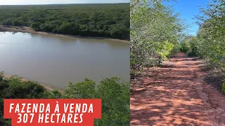 Fazenda de 307 hectares boa de água, à venda em Curimatá Piauí