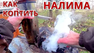 КОПЧЁНЫЙ НАЛИМ. Универсальная КОПТИЛЬНЯ. Как я копчу рыбу.