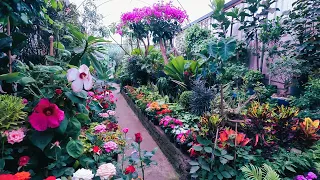Un paseo por el mercado de plantas y flores en Viveros Coyoacán Ciudad de México 🇲🇽