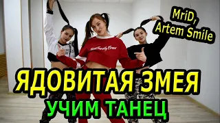 Учим классный танец.  MriD, Artem Smile - Ядовитая змея