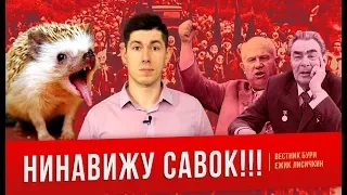 НИНАВИЖУ САВОК!!2 (feat.Ежик Лисичкин) - минусы СССР (Часть 2)