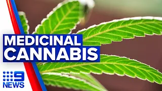 Medicinal cannabis proven to help cancer patients | 9 News Australia