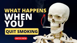 What Happens When You Stop Smoking? | Benefits of Quitting Smoking | MedBoard