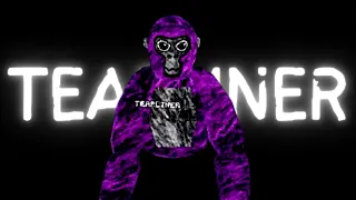 The Terrifying Gorilla Tag Ghost You've Never Heard Of | TEARLINER