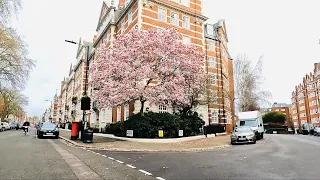 Spring Drive in London’s St John’s Wood | An affluent district of leafy residential streets March 23