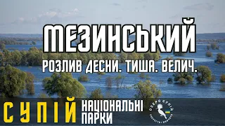 Супій на виїзді. Національний парк Мезинський. #supiilake