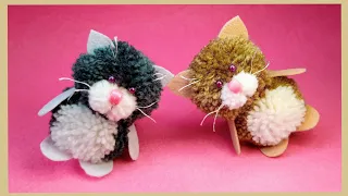 Cute pom-pom kittens
