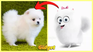 The Secret Life Of Pets Characters IN REAL LIFE l Animation origins