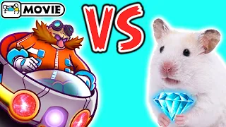 Hamster Sonic vs Eggman 🐹 Boss fight 🐹 Homura Ham Pets