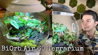 BiOrb Air 60 Terrarium | Assembly & Planting