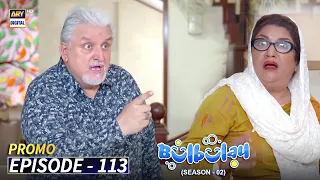 Bulbulay Season 2 Episode 113 - Promo - ARY Digital Drama