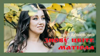 Знову цвіте матіола 🌸Пісня про рідний дім🇺🇦