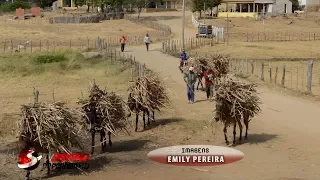 No sertão da Paraíba, Agricultores mantém tradição de Engenho Centenário em Cajazeiras – PB Veja a r