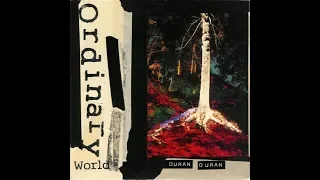 Duran Duran - Ordinary World (28 to 45hz)