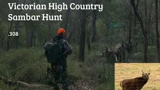 Sambar Hunt, Victorian High Country July 2022