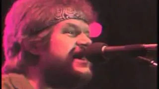 Bachman Turner Overdrive - You Aint Seen Nothin Yet (live)
