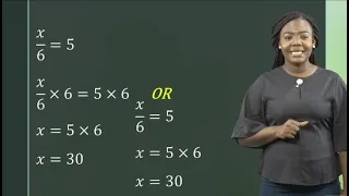Mathematics - Grade 10: Linear Equations - Part 1