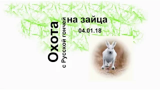 Охота на зайца 04 01 18