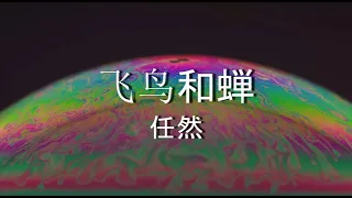 飞鸟和蝉 【1 hour loop】有歌词