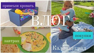 ВЛОГ/VLOG МАСТЕРА. ПРИВЕЗЛИ КРОВАТЬ, ЗАВТРАК, ПОКУПКИ. КАЛИНИНГРАД