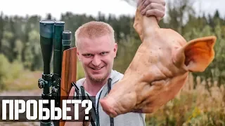 СТРЕЛЯЕМ В СВИНУЮ ГОЛОВУ! | ЛОПАТУ | 200 метров! EDGUN MATADOR 6.35mm