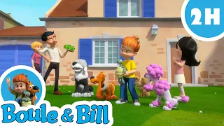 🎁 Boule et Bill sont des pros pour faire la fête 🎉 - Nouvelle compilation Boule et Bill FR