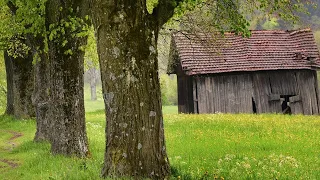 Ja si ja kryej at punen Mesueses pas mesimit