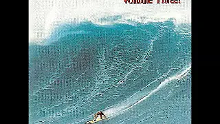 Various - Surfin' In The Midwest Vol 3: 60's Surf, Garage Rock & Roll Instrumental Music USA Bands