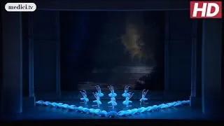 Swan Lake - Tchaikovsky, Nureyev