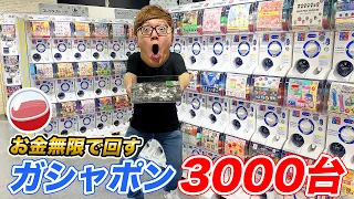 【お金無限】ガシャポン3000台を本気で回し続けたら当たりまくりwww【ガシャポンのデパート】