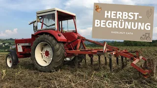 Grubbern, Düngen, Zwischenfrucht säen | IHC 744 | August 2020