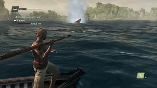 Assassin's Creed IV Black Flag - Hunting down white whale