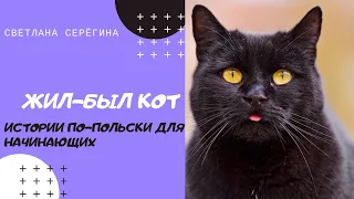 Польский для начинающих. Жил-был Kот. Изучай польский язык, слушая истории.