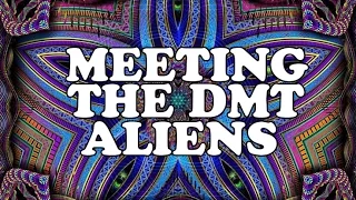 WHAT THE DMT ALIENS LOOK LIKE | My Experience (Cosmic Serpents, Psychedelic Entities, Machine Elves)