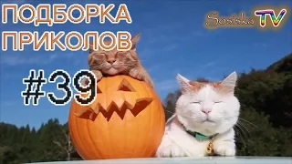 ПОДБОРКА ПРИКОЛОВ #39