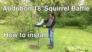 Audubon 18" Squirrel Baffle.  How to install.