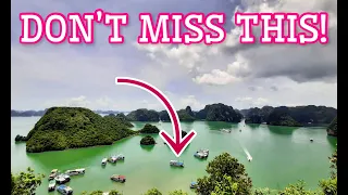 Halong Bay Luxury Cruise in Vietnam 🇻🇳  | Expect the Unexpected!