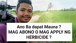 Anong Dapat Mauna - Mag Apply ng Herbicide o Mag Abono? Anong Pamatay sa Atangya at Ulmog