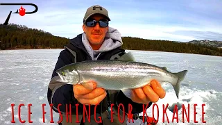 Ice Fishing For Kokanee