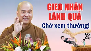 Tạo Nghiệp Lãnh Quả Là Quy Luật Tự Nhiên, Không Thể Tránh Khỏi Trong Cuộc Đời | Thầy Thích Pháp Hoà