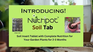 Nutripot soil Tab : A soil insert tablet for Garden Plants with 2-3 months of Nutrients and Humus.