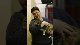 История кошки по имени Милка из приюта «Островок»