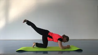 Rücken Workout