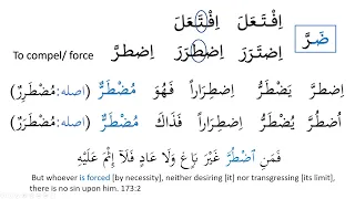 Madinah Arabic Book 3, Lesson 23 (Part 3)
