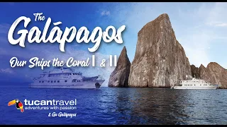 A day on board the Coral I & II with Tucan Travel & Go Galapagos