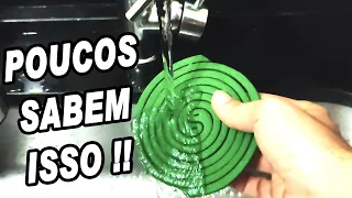 COLOQUEI REPELENTE ESPIRAL NA ÁGUA e você NÃO vai acreditar no que aconteceu!