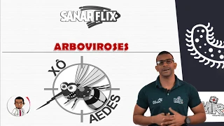 Arboviroses (Parte 1) - Dengue e Febre Amarela - Módulo de Infectologia - Aula SanarFlix