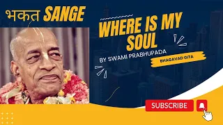 Where is my Soul | Swami Prabhupada #sanatandharma #soul #iskcon #prabhupada #harekrishna